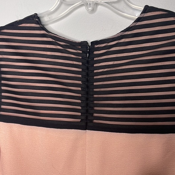 Nwt Belle by Badgley Mischka Cream Black Short Sleeve Dress Sz 14! - Picture 10 of 10